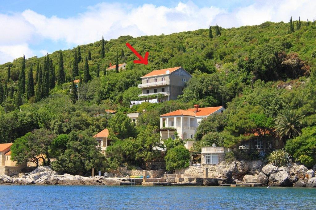 Apartments Antunovic Molunat Extérieur photo